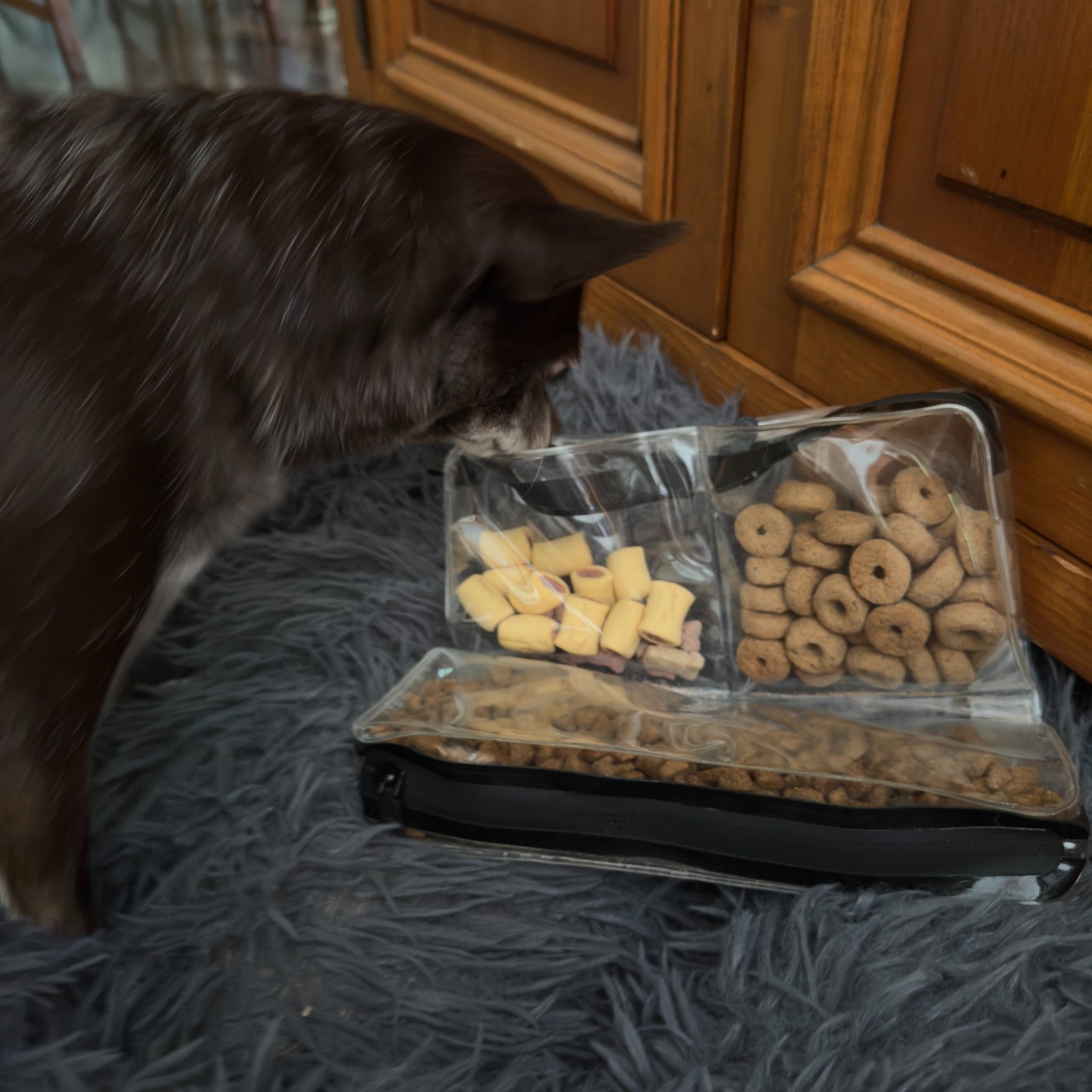 Customer organizing dog treats pet supplies in DivideNPac clear compartment bags