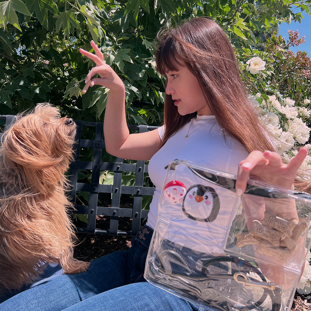 Kids playing outdoors family garden DivideNPac clear organizer bag children activities