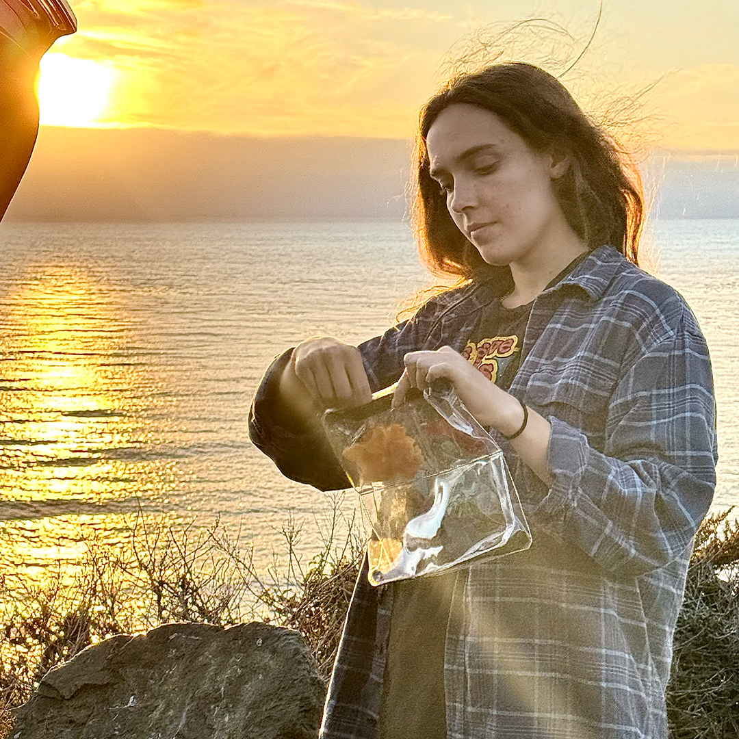 Woman with DivideNPac clear bag sunset ocean travel organizer outdoor adventure