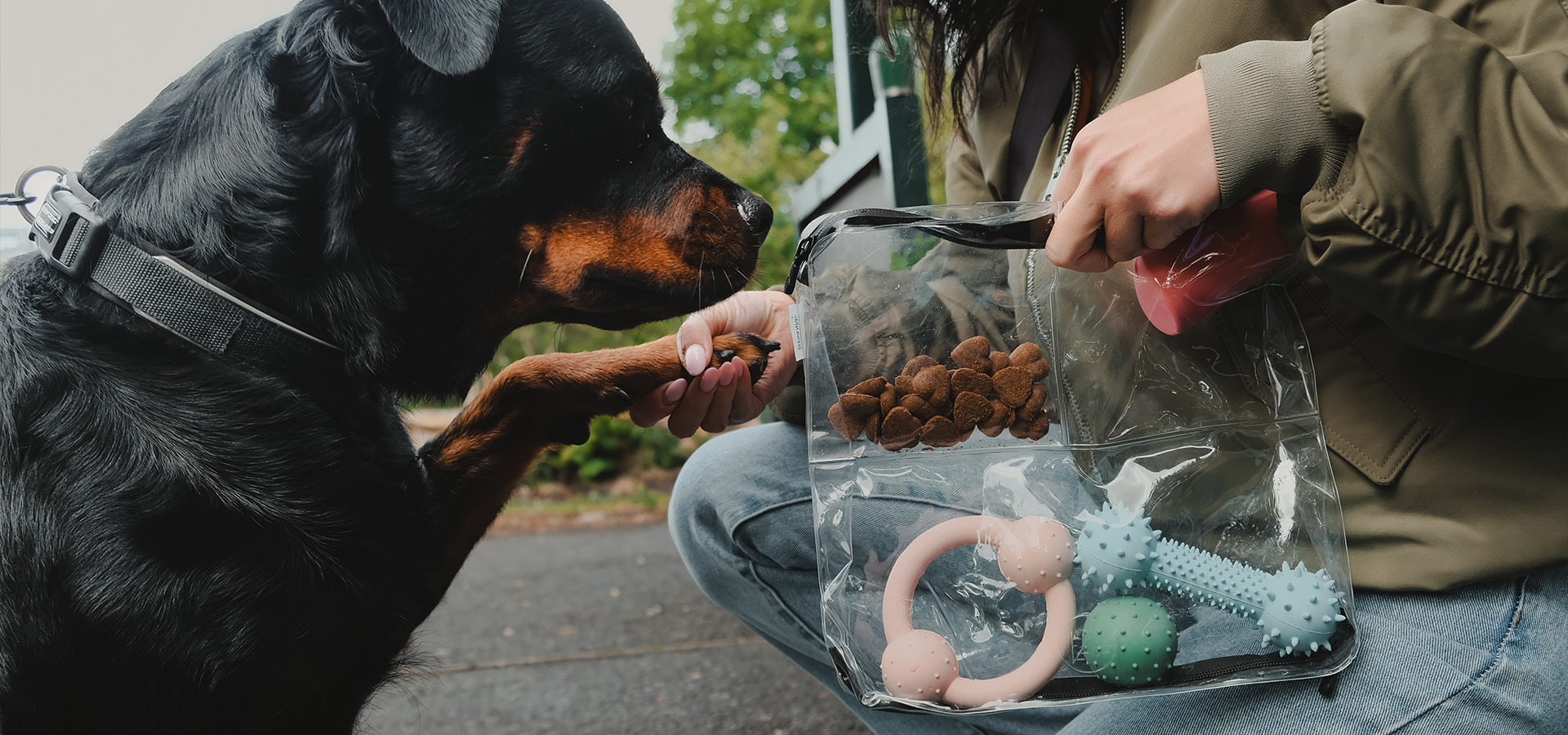 Reusable clear organizer bags washable TPU material reduce disposable plastic bag waste