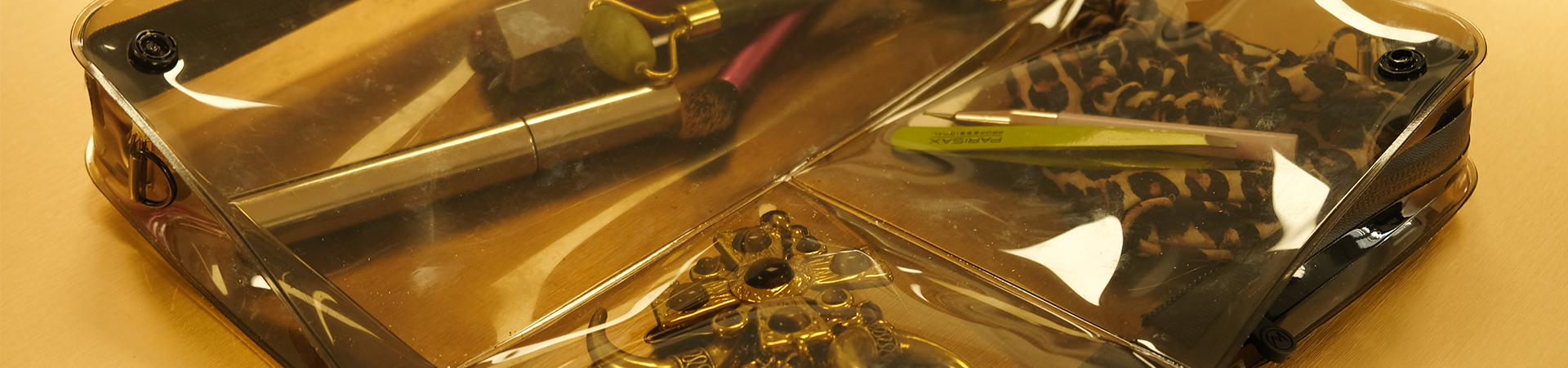 Newsletter signup clear organizer bags for makeup jewelry accessories compartments join organized adventure DivideNPac