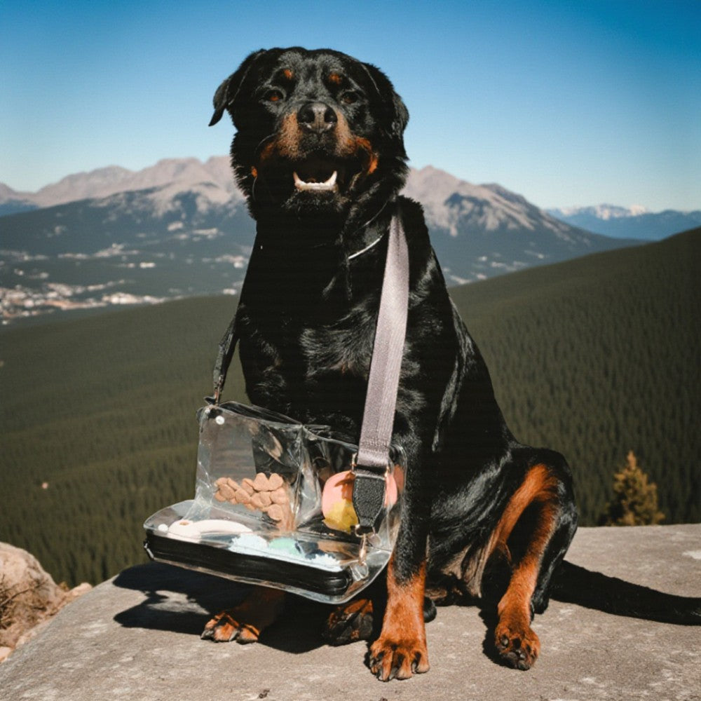 Stadium approved clear bag with dog treats for outdoor adventures, TPU 3-compartment organizer with crossbody strap