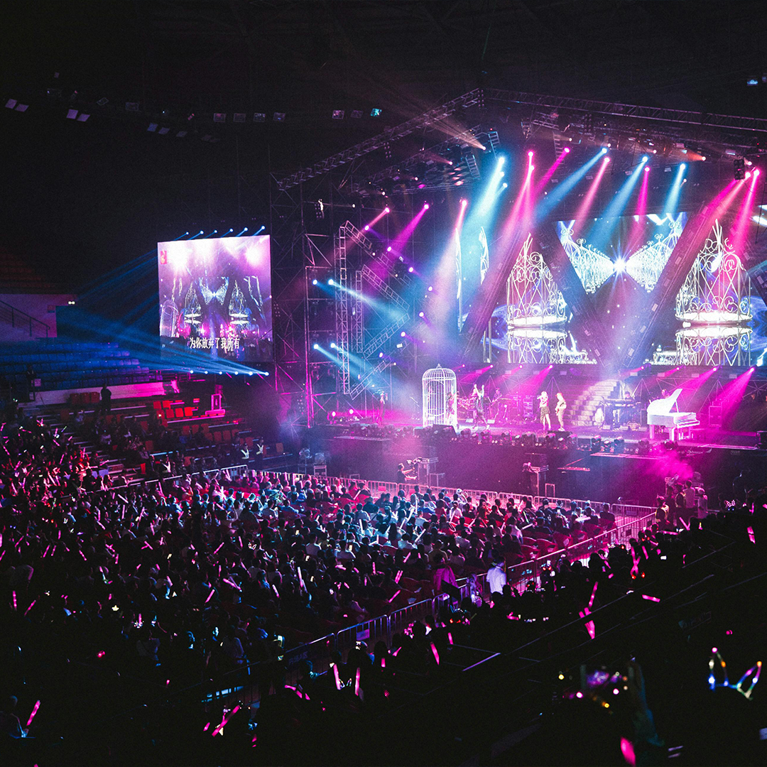 Packed concert venue with stage lights and a crowd — the kind of show DivideNPac Stadium Bags are designed for.